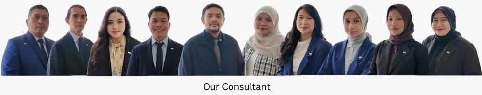 our consultants